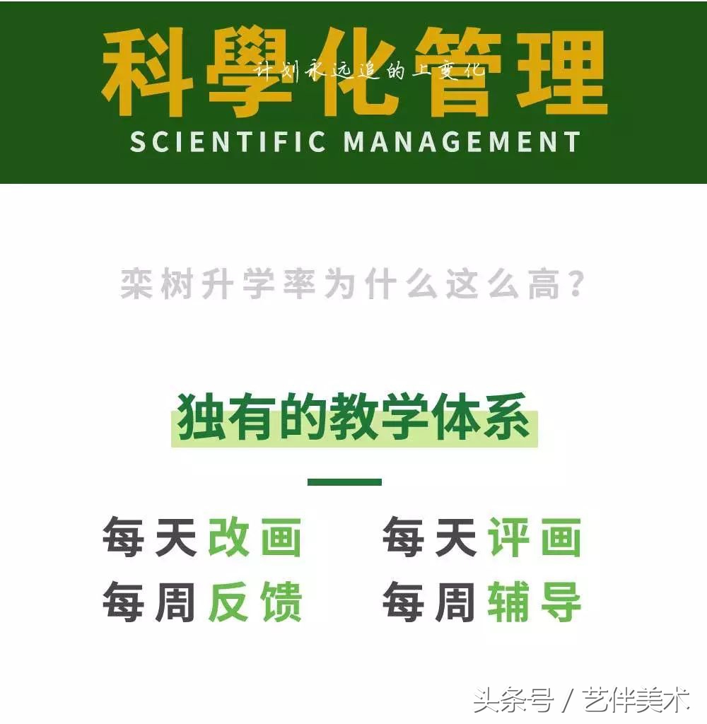 栾树画室价格一览表,栾树画室北京