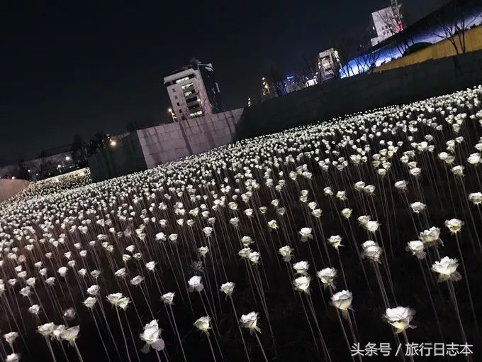 韩国首尔自由行4天三晚,首尔双飞5天4夜自由行