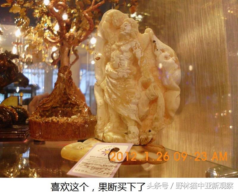 野林猫之-俄罗斯琥珀之都探秘