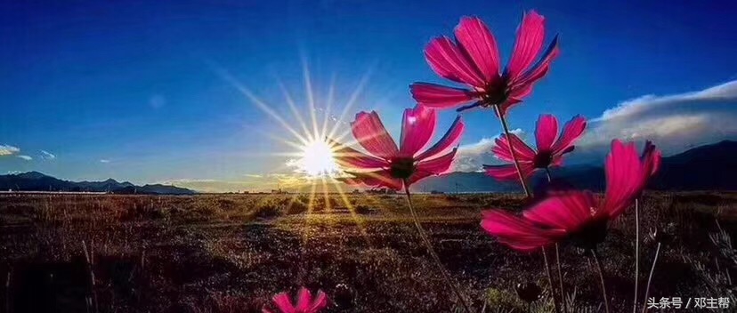 什么叫众筹解释一下,什么叫众筹平台