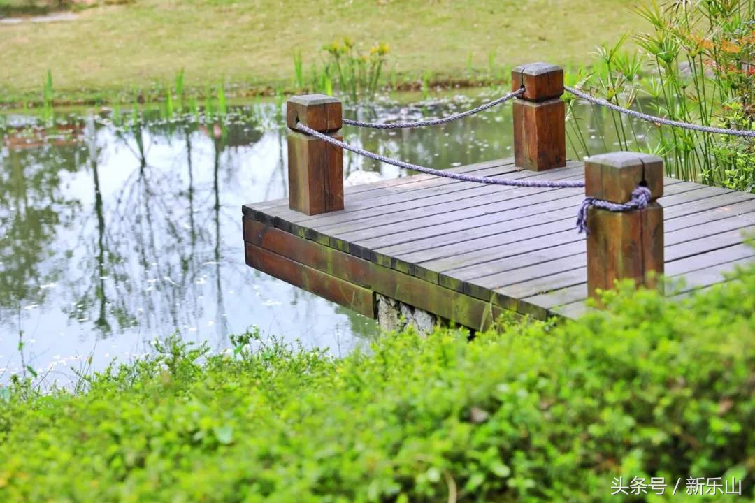 四川乐山最美的春天,乐山的春天有多美