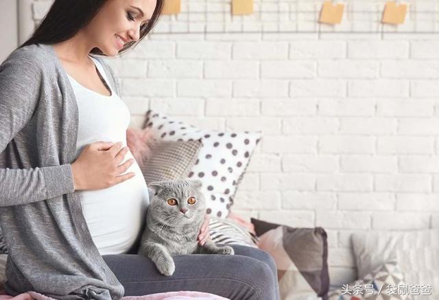 怀孕日记のD136-D150变化