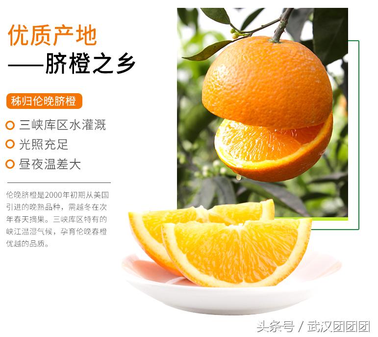 秭归伦晚,正宗秭归伦晚产品介绍