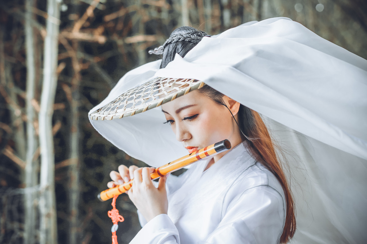 曦月小说免费在线阅读,曦月小说全文