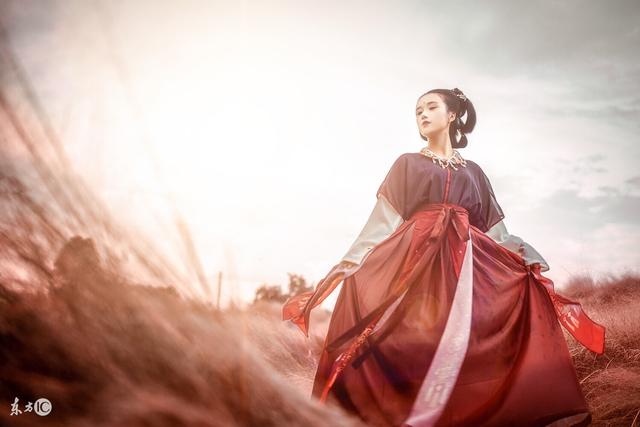 小说：杨少欺辱她的母亲，她记在心里，借着治疗杨少，实则给下药