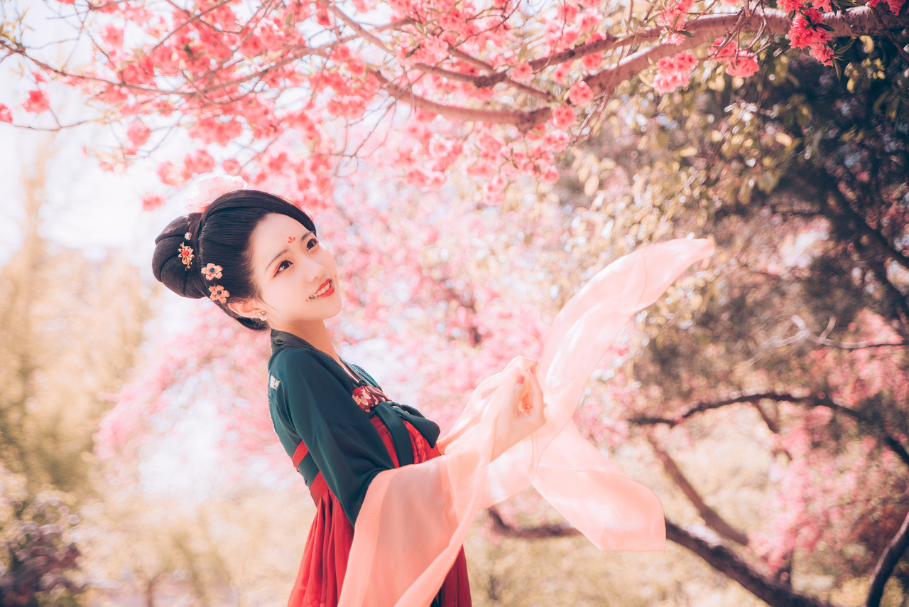 小说：巧得修仙机缘，刘蕊赠功法