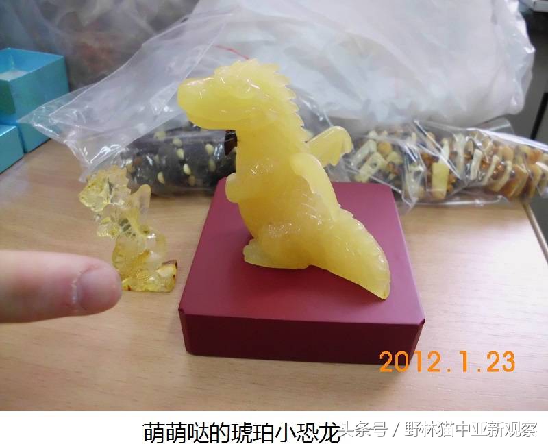 野林猫之-俄罗斯琥珀之都探秘