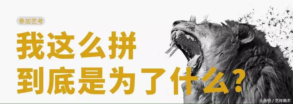 栾树画室联系方式,栾树画室有集训吗