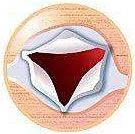 心室支架说明书,这份通俗易懂的心室说明书请收好