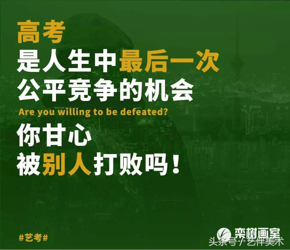 栾树画室口碑怎样,栾树画室地址在哪里