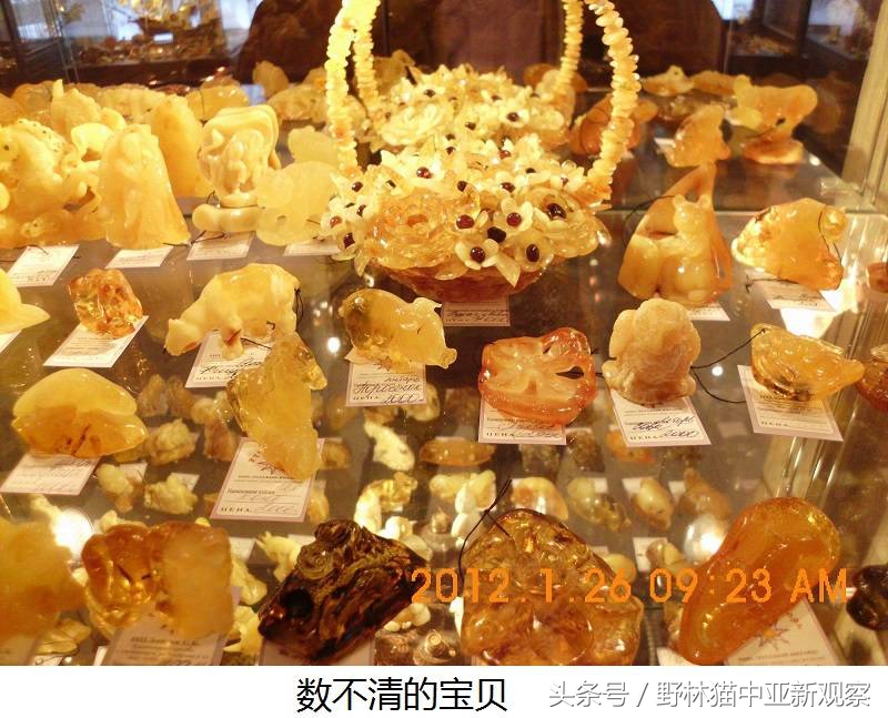 野林猫之-俄罗斯琥珀之都探秘