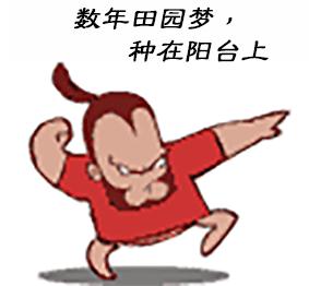 修剪的目的是什么,修剪是为了更好的生长