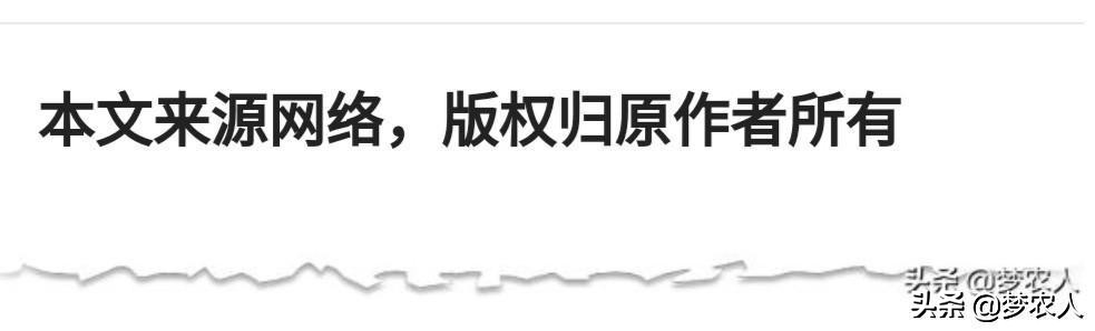 等春暖花开武汉看樱花朋友圈说说,春暖花开我们一起去看樱花烂漫
