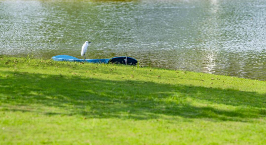 浣忔繁涓氫腑鍩庣殑鐪熷疄鎰熷彈,灞呬綇鐞嗘兂