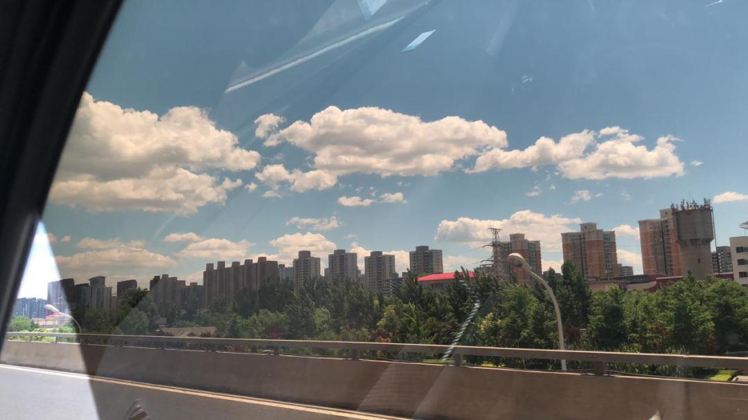 疫情过后园林企业生存现状如何？来看看这位项目经理的一天