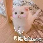 墨尔本ct租房找室友,墨尔本最新租房法