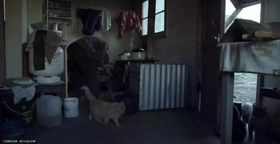 地球的另一端长什么样,地球另一端的意思