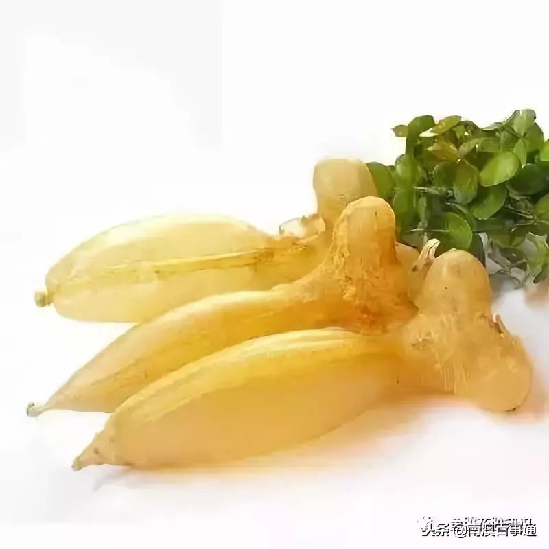 涨知识系列详解,涨知识简短