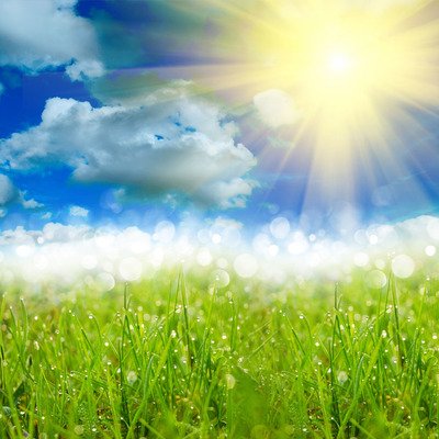 阳光向上有朝气的文字,阳光积极向上的字有哪些