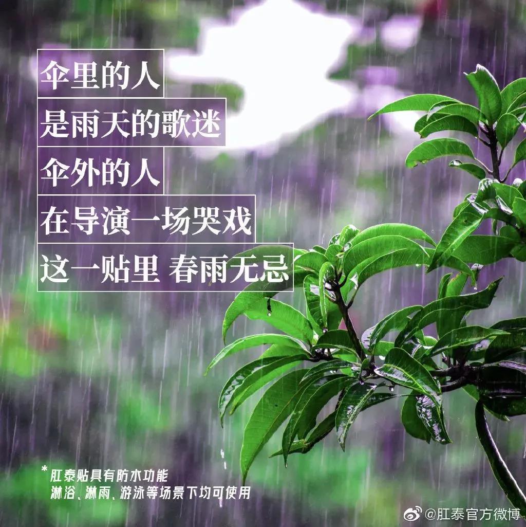 肛泰的效果比马应龙好,肛泰膏好还是马应龙膏好