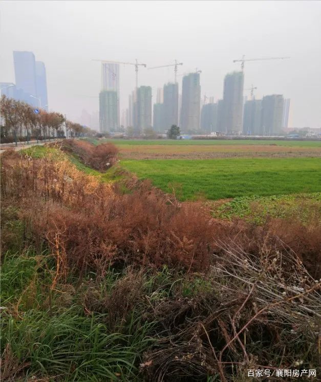 襄阳房地产拿地,襄阳房地产最新消息