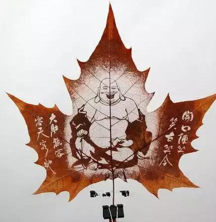 一叶一菩提高清图片,最漂亮的一叶一菩提