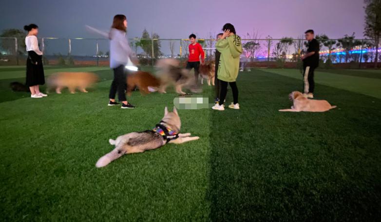 为什么说国足,为什么说国足虽败犹荣