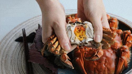 微蒸炉测评,微蒸测评
