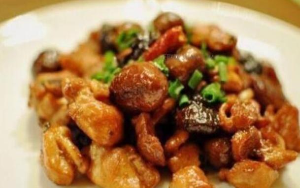 中医养生菜的功效,养生菜对身体好吗