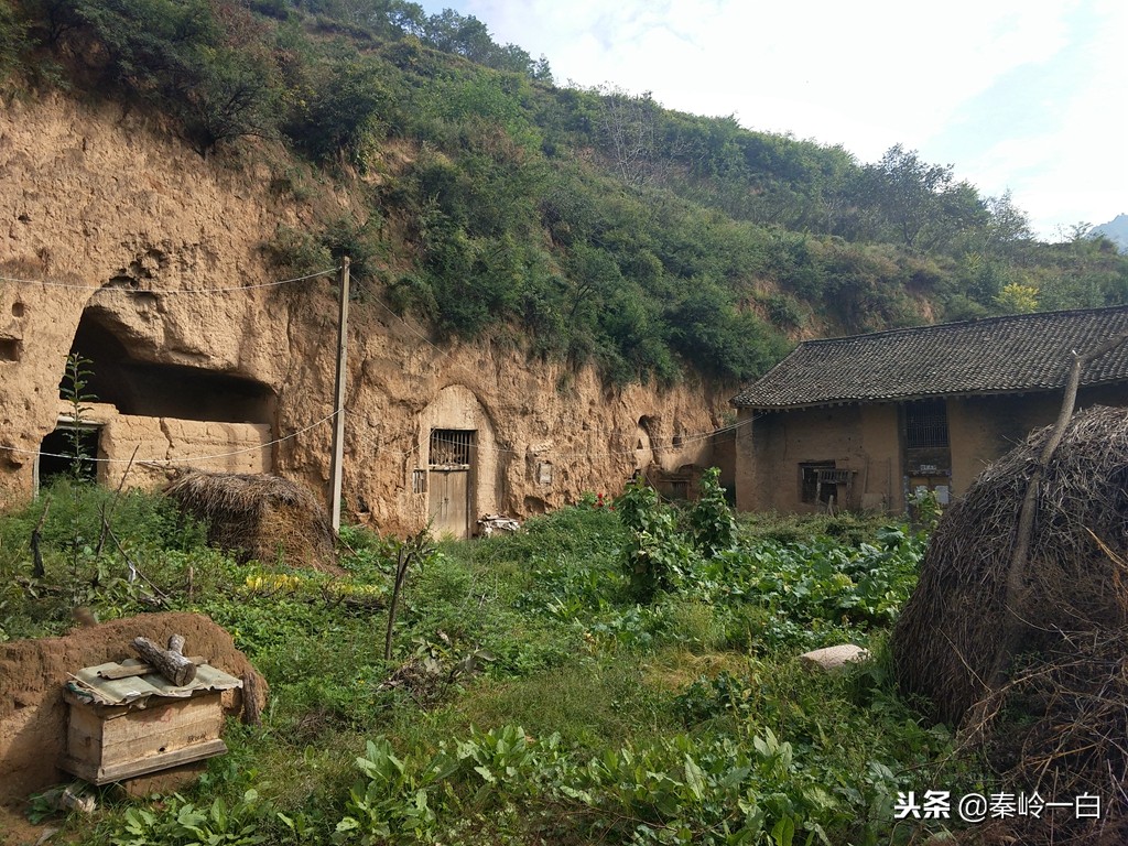 怎样识别蜂蜜纯天然正宗蜂蜜,好的蜂蜜常用知识