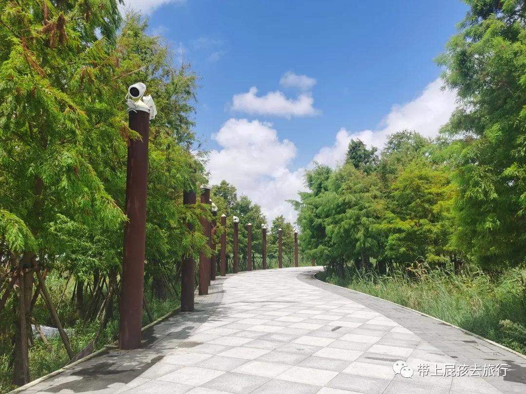 上海天文馆和科技馆哪个更值得去,上海天文馆两小时游览攻略