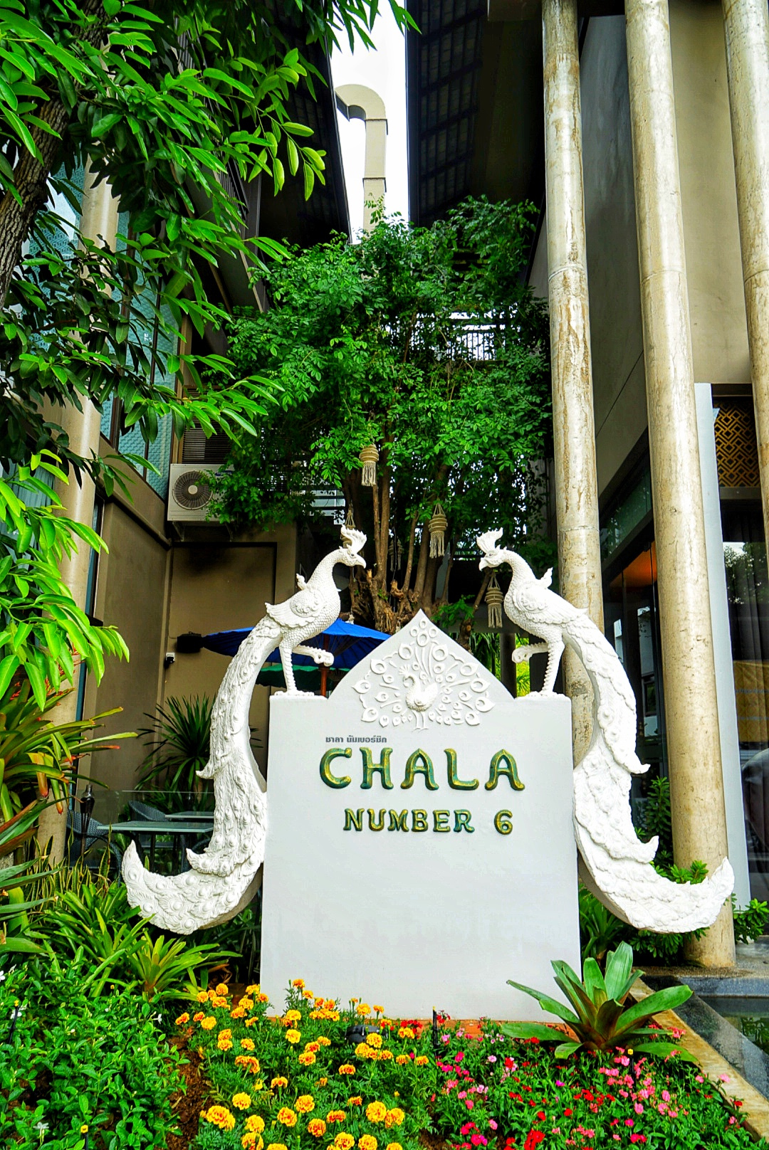 神奇泰国游,清迈古城温暖的风景