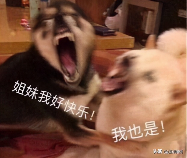 睡眠面膜成分安全好用推荐,求推荐好用的睡眠面膜