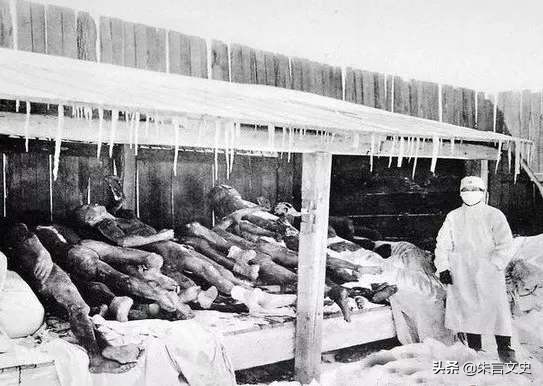 冻饿交迫，不死又将何待？是数千人不死于疫乃死于防疫