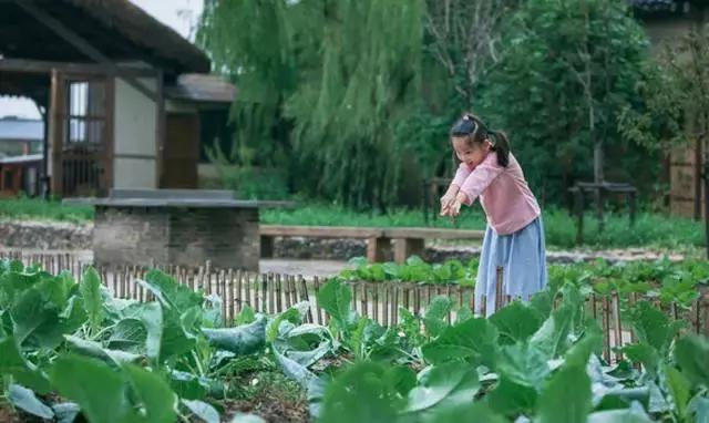 涔屾潙娓稿鏁伴噺,涔屾潙骞存帴寰呮父瀹㈤噺