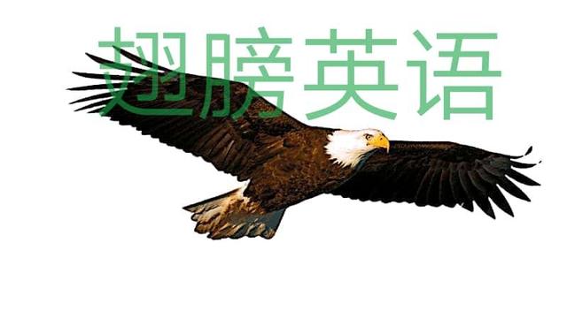 英语howtodoit,翅膀英语怎么写的