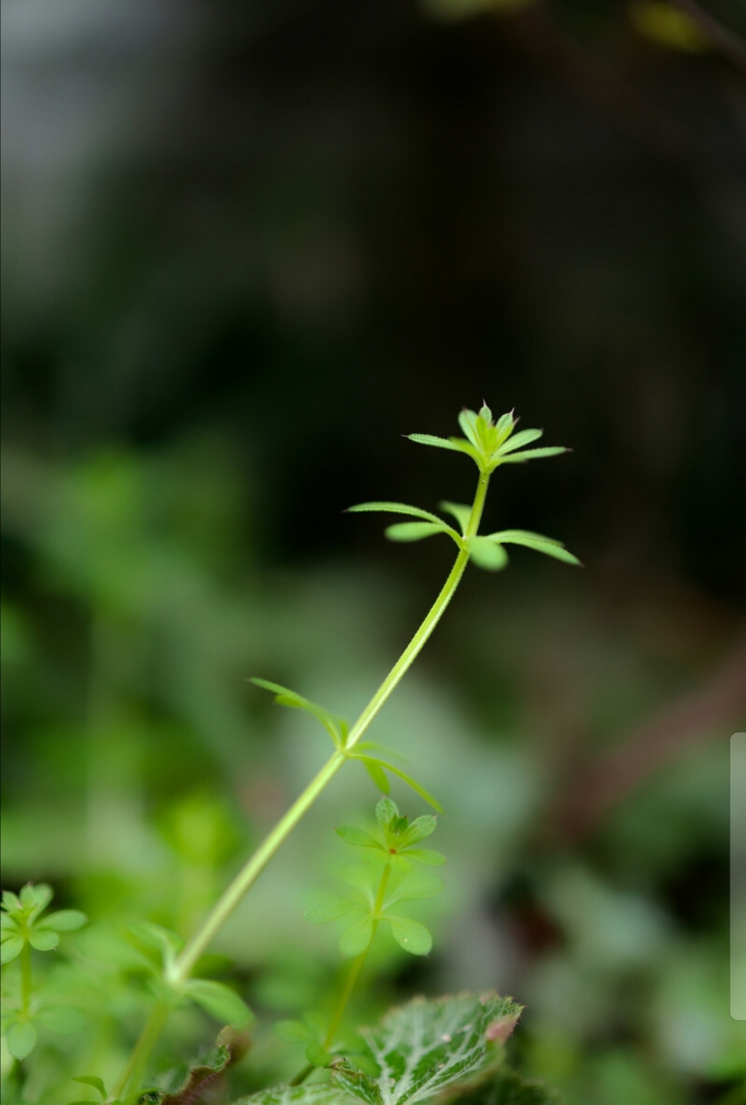 35句励志诗词名句惊艳了岁月,关于自强不息的励志诗句精选