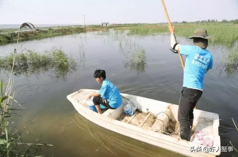 小龙虾养殖场基地赚钱吗,小龙虾养殖户的出路