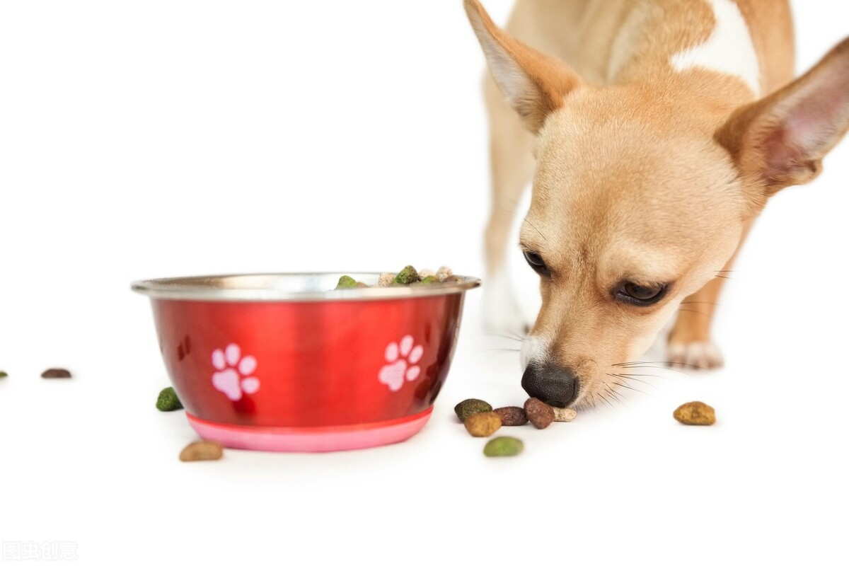 猫咪肠胃不好适合什么猫粮,猫咪放屁很臭是肠胃不好吗
