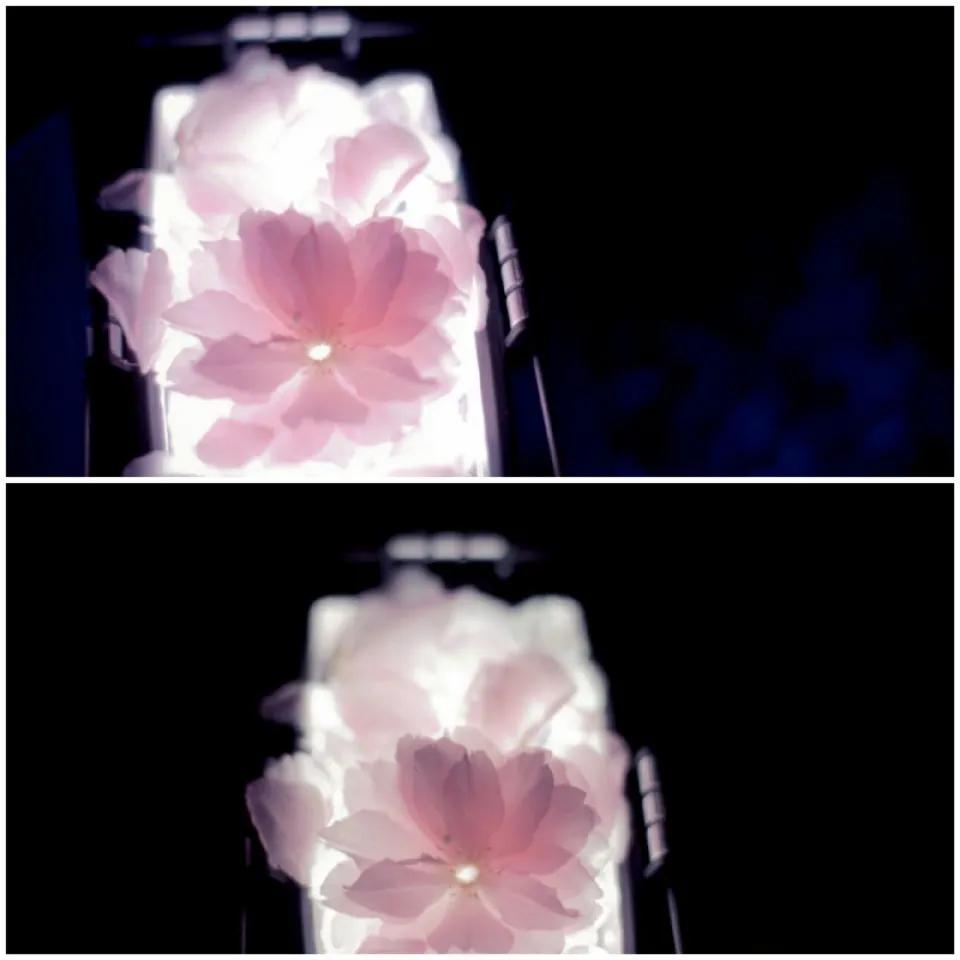 这等世外仙境竟然在西南交通大学希望学院？