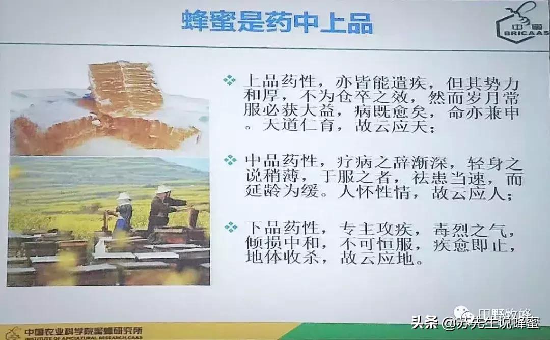 怎样辨别真蜂蜜假蜂蜜,怎么简单分辨假蜂蜜