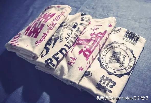 鍊熼瓊閲嶇敓灏忚,鍊熼瓊閲嶇敓