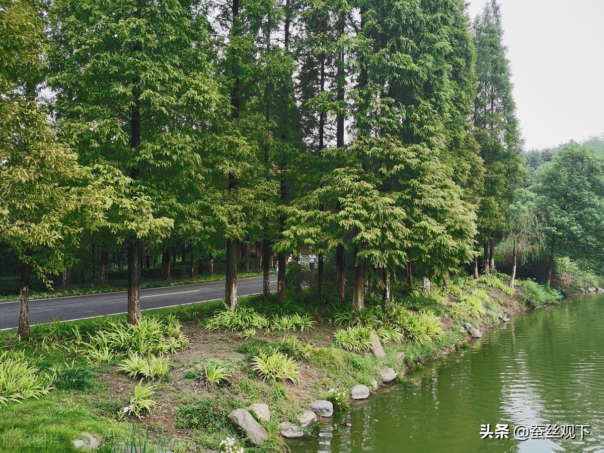 百强县排名宜兴有超过江阴的吗,中国县域旅游百强县宜兴