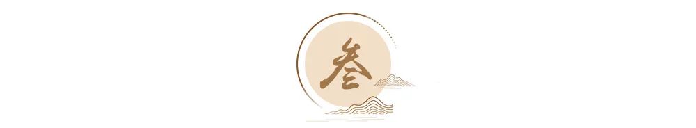 司马懿真正的聪明不是看不出来的,司马懿真正厉害的人
