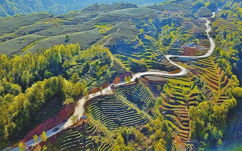 成渝经济区巴中,成渝地区双城经济圈规划纲要巴中