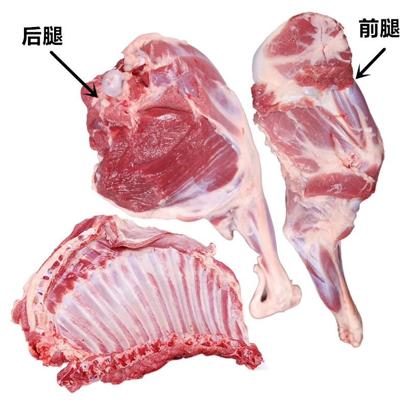 羊腿怎么挑选,羊腿怎么买才正宗