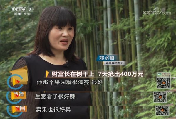 40棵果树一年能赚多少,一棵果树能赚多少钱