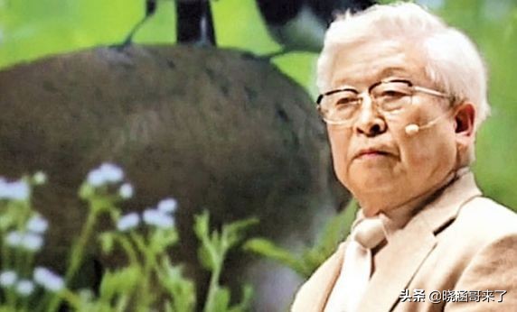 韩国世越号为什么学生不弃船,韩国世越号轮船事件