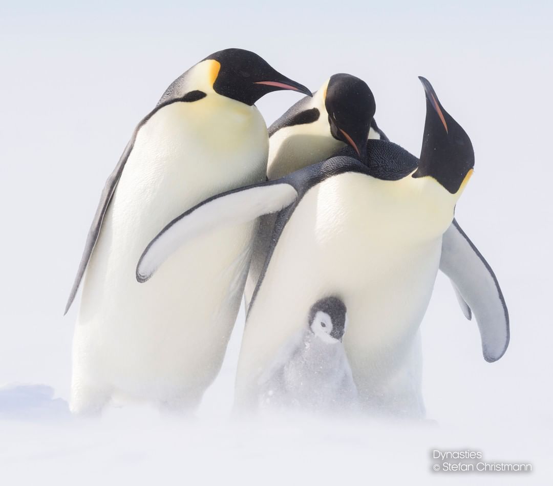 抢走人家的小孩,抢走别人的宝贝女儿