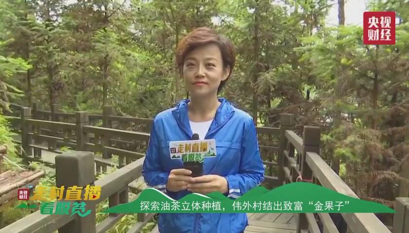 贵州省黔西南州电视台直播,黔西南册亨县弼佑油茶产业